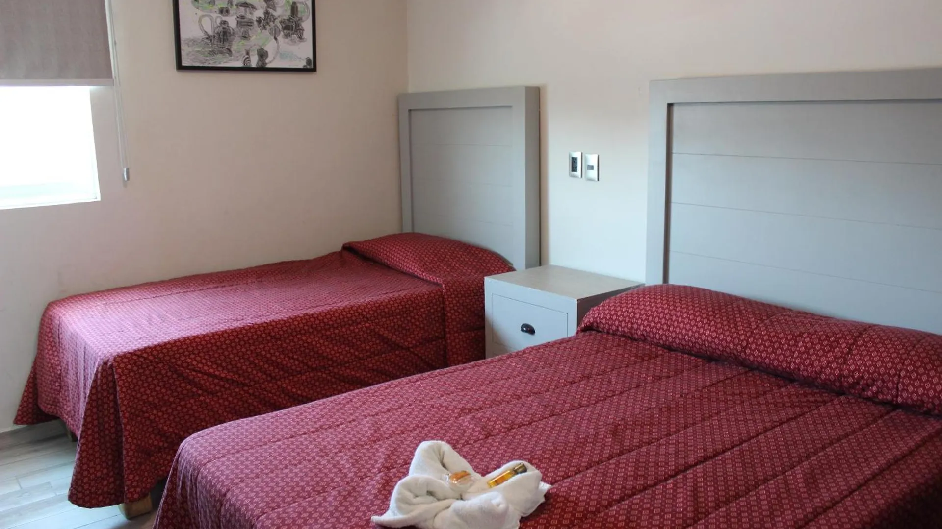 Hotel Colon Express 과달라하라